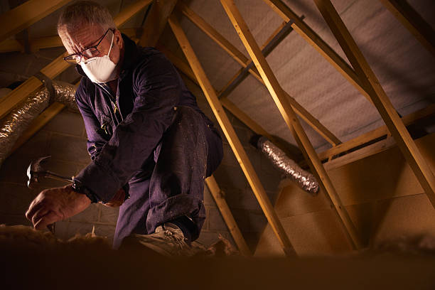 Best Blown-in Insulation in Liberty Triangle, FL